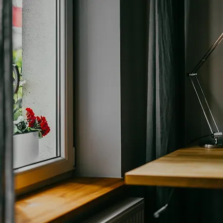 Antique Old Town Apartment