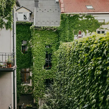 Antique Old Town Apartment