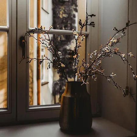 Antique Old Town Apartment