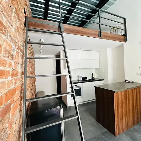 Apartment Antique Old Town Krakow